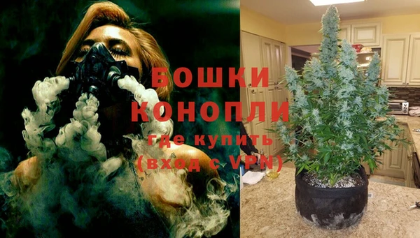 метадон Новодвинск