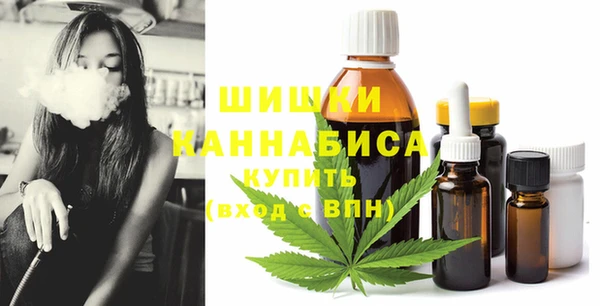 метадон Новодвинск