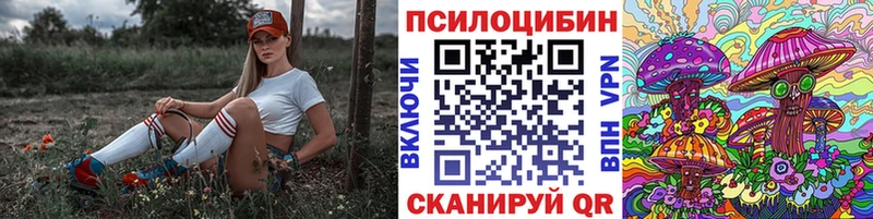 Галлюциногенные грибы Psilocybine cubensis  Сорск 